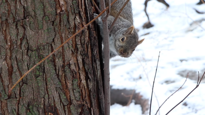 5879628f 782d 1944 f00a c47743b9d67d