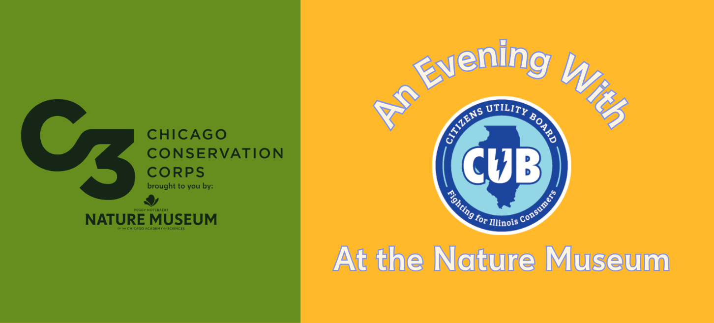 6f32b73f 35dc 1f02 8770 769a29f550cc