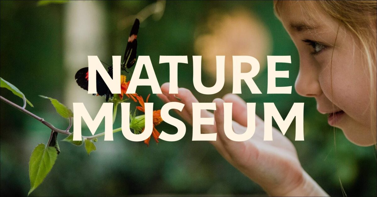 Peggy Notebaert Nature Museum photo from the official site