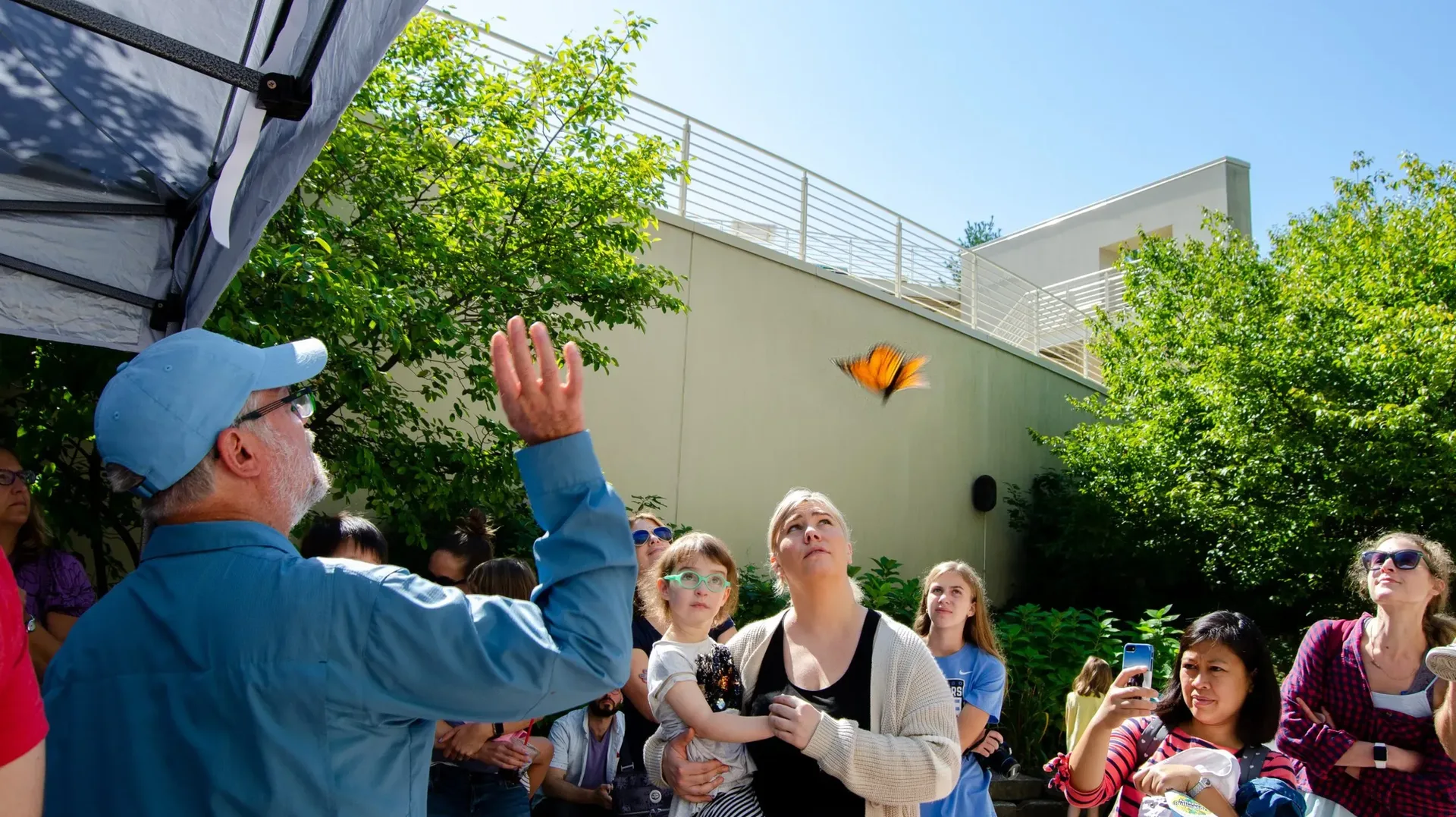 1 Nature Museum Flutter Monarch Release scaled