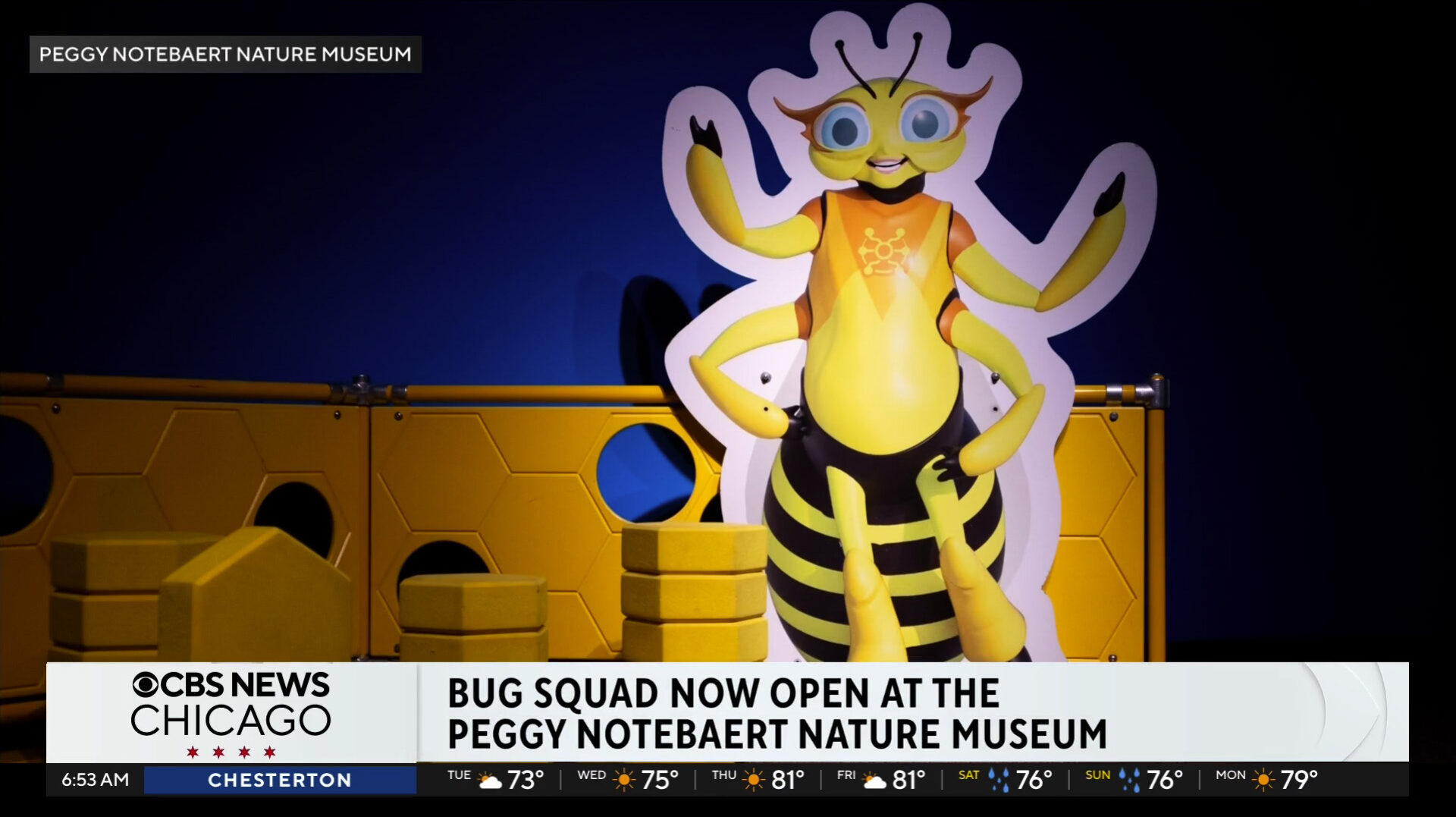 Bug squad