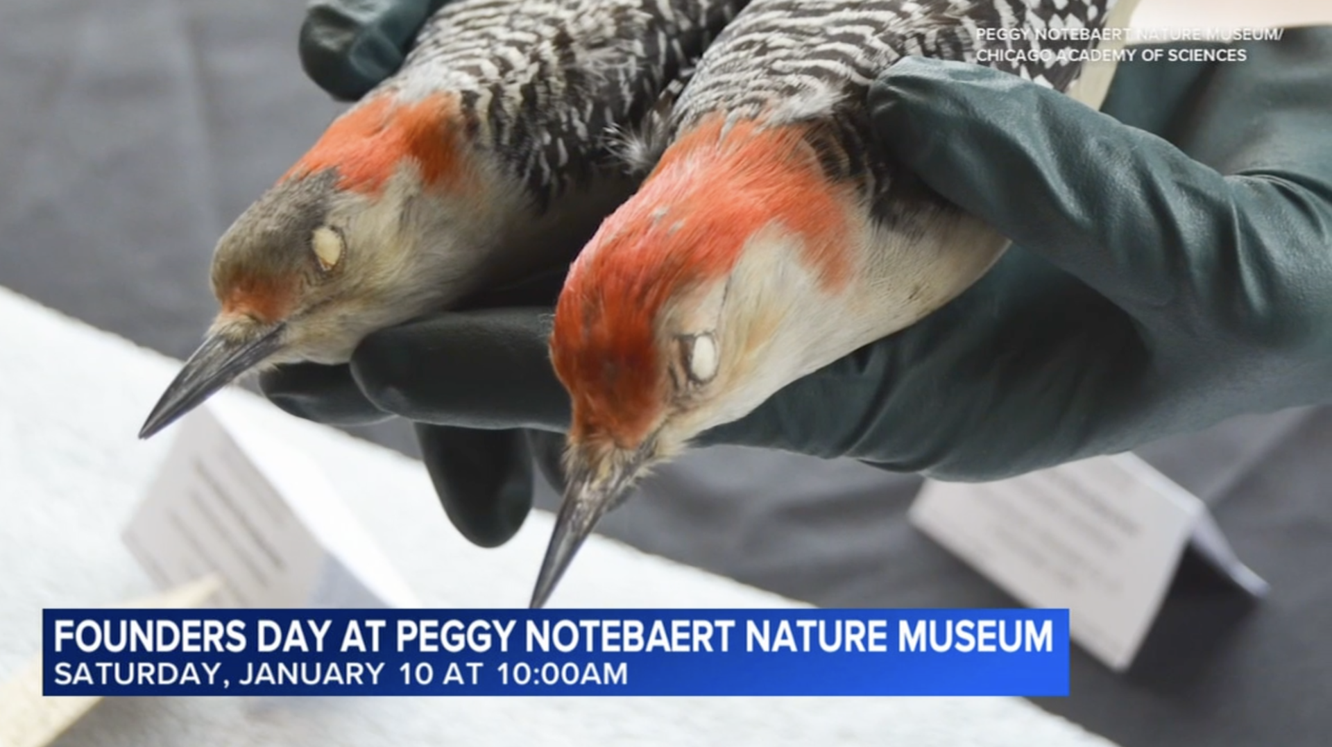 Screenshot 2026 01 08 at 9 41 02 AM