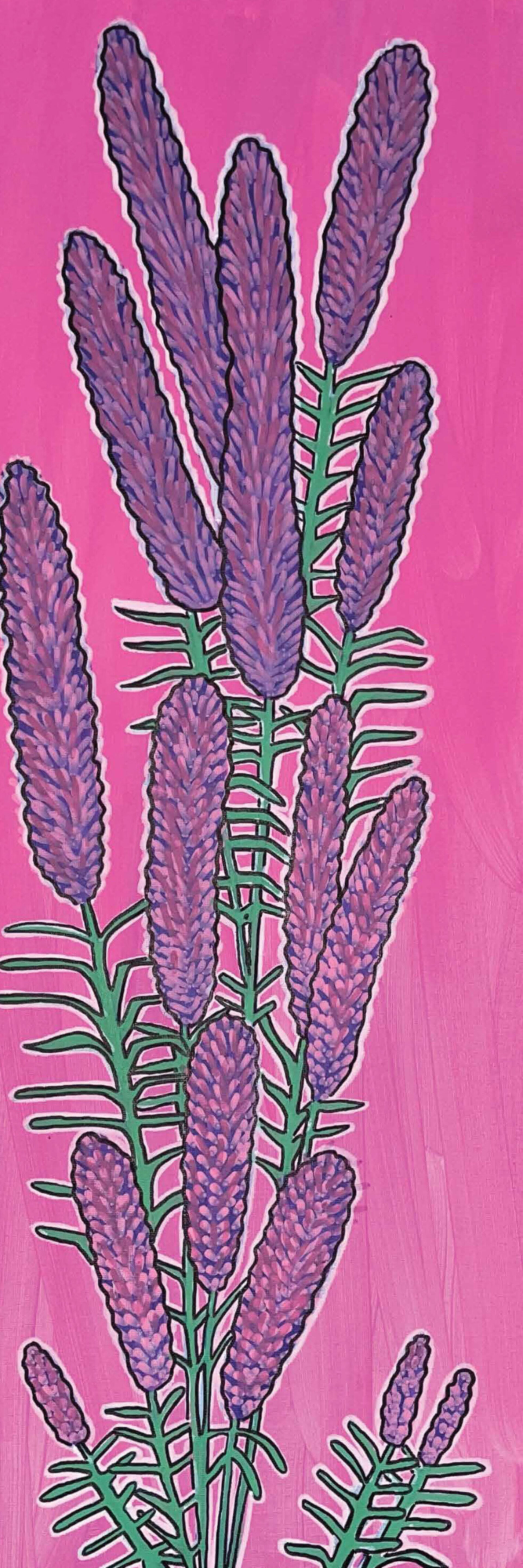 BLAZING STAR PAINT