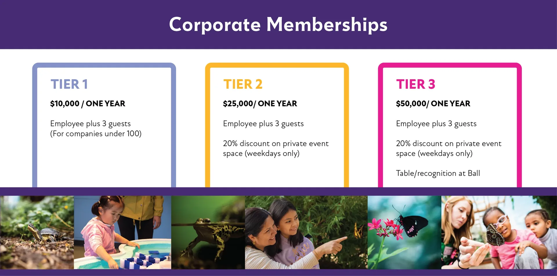 Corperate Membership chart 2025 v2 LG