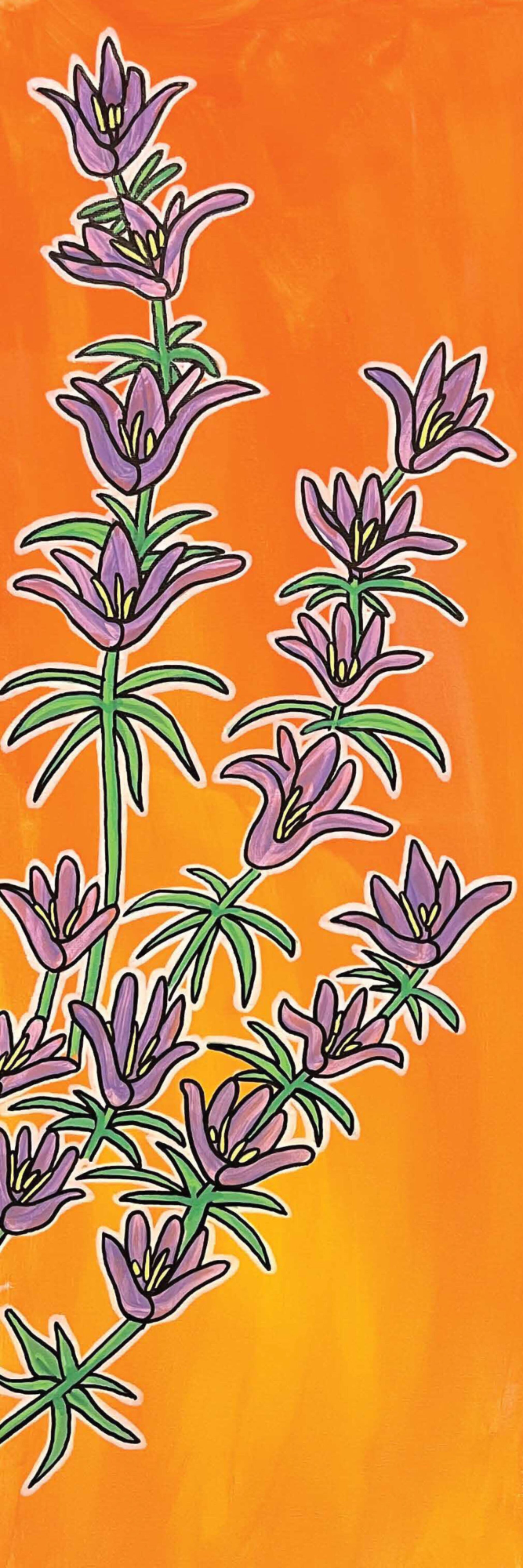 DOTTED HORSEMINT PAINT
