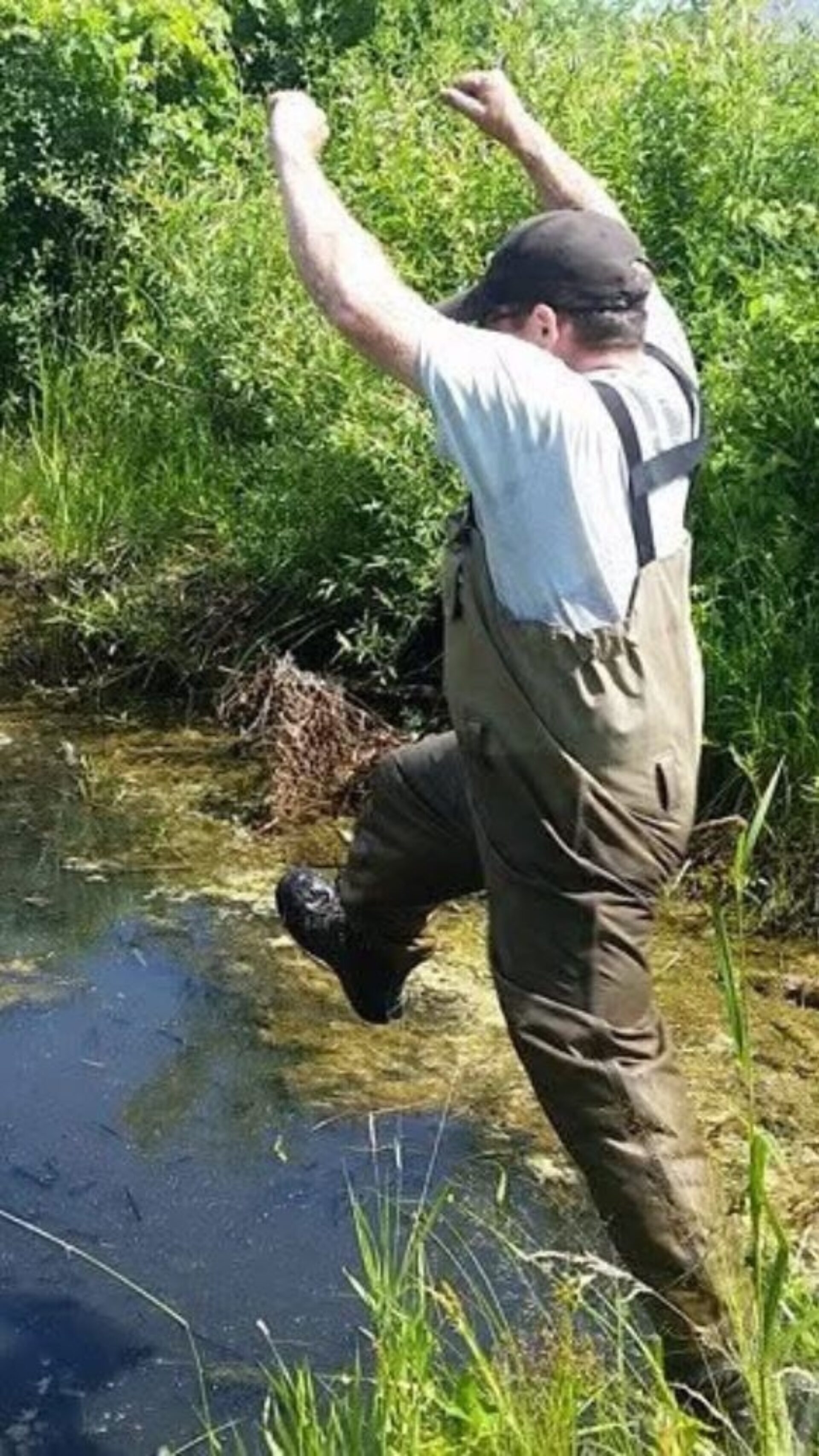 Gary leaping to catch missing viola 1 1