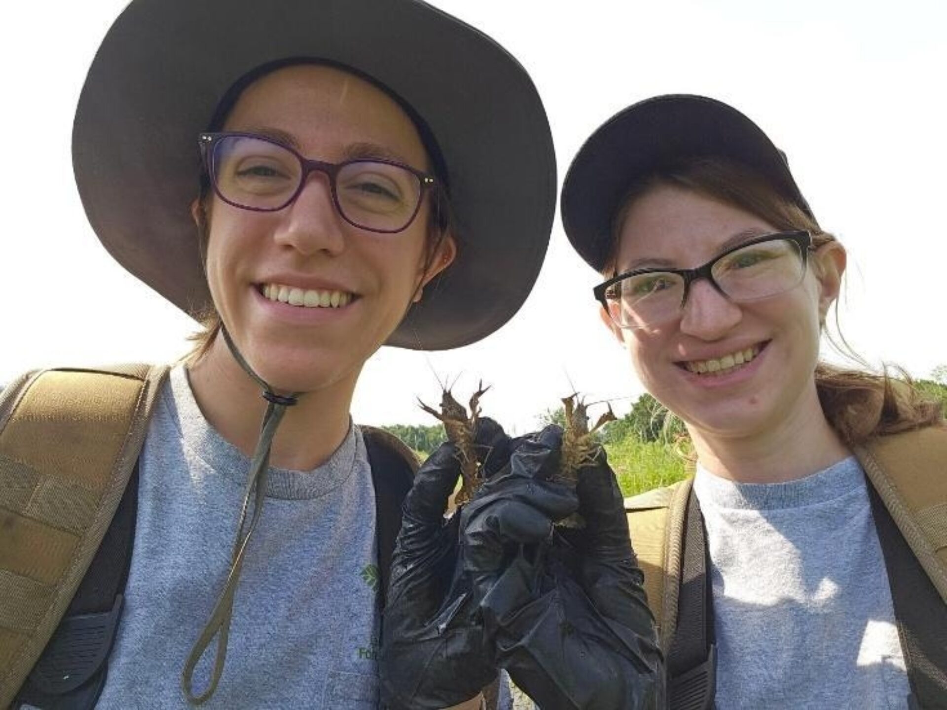 Image14