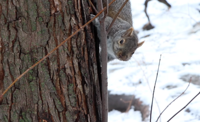 5879628f 782d 1944 f00a c47743b9d67d