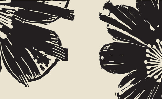 Boros header