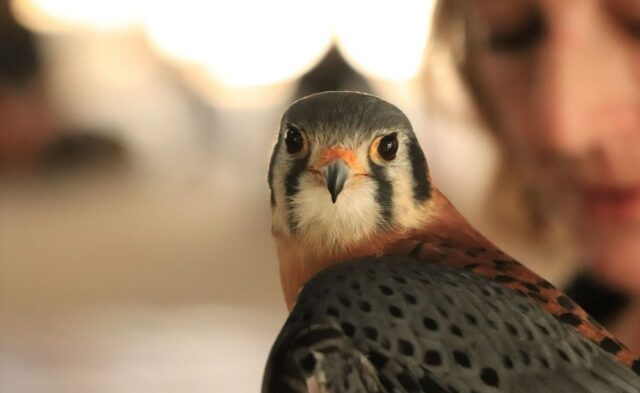 E4e755be 2e75 e42b a021 e8a331873cf9