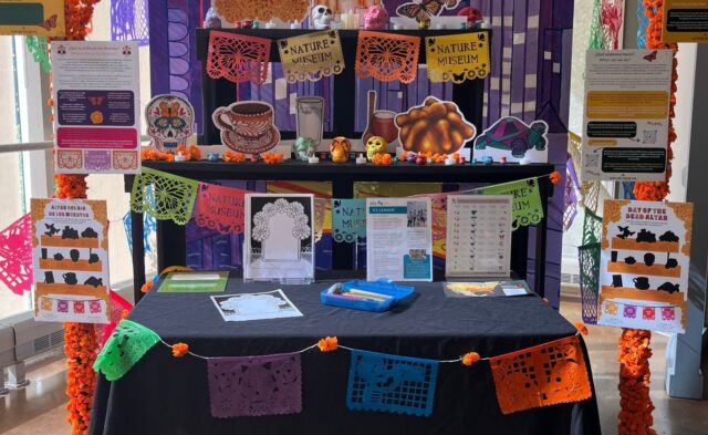Muertos