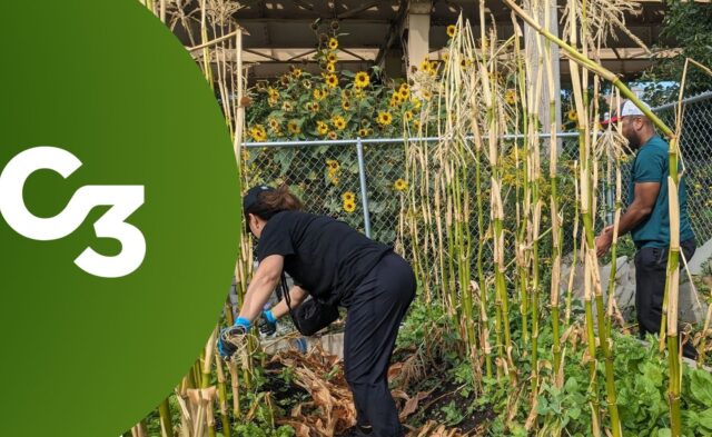 Workday event header